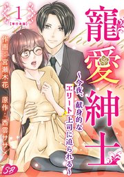 寵愛紳士～今夜、献身的なエリート上司に迫られる～ 単行本版