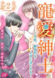 寵愛紳士～今夜、献身的なエリート上司に迫られる～ 単行本版（2）