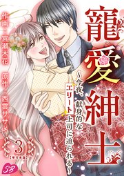 寵愛紳士～今夜、献身的なエリート上司に迫られる～ 単行本版（3）