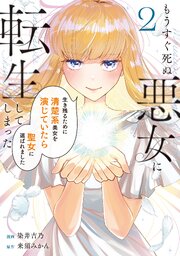 もうすぐ死ぬ悪女に転生してしまった　生き残るために清楚系美女を演じていたら聖女に選ばれました２