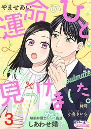 運命のひと、見つけました。 敏腕弁護士とめちゃ高速しあわせ婚!?３