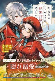 あなたのしたことは結婚詐欺ですよ 表紙