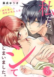 私たち、シてしまいました。～両片想いの理性が外れる夜～ 3