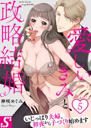 愛しいきみと、政略結婚～いじっぱり夫婦、初夜から子づくり始めます（5）