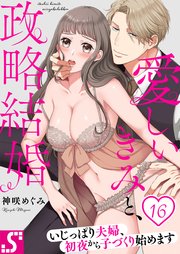 愛しいきみと、政略結婚～いじっぱり夫婦、初夜から子づくり始めます（16）