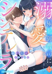 溺愛シンデレラ 極上御曹司に見初められました 【分冊版】12話