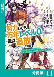 どれだけ努力しても万年レベル0の俺は追放された～神の敵と呼ばれた少年は、社畜女神と出会って最強の力を手に入れる～【分冊版】（ノヴァコミックス）11