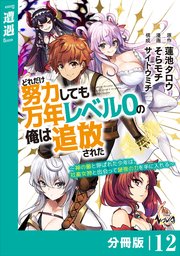 どれだけ努力しても万年レベル0の俺は追放された～神の敵と呼ばれた少年は、社畜女神と出会って最強の力を手に入れる～【分冊版】（ノヴァコミックス）12