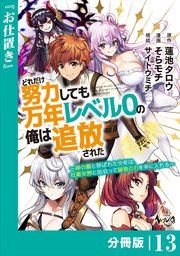 どれだけ努力しても万年レベル0の俺は追放された～神の敵と呼ばれた少年は、社畜女神と出会って最強の力を手に入れる～【分冊版】（ノヴァコミックス）13