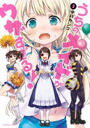 うちのメイドがウザすぎる！ 2巻