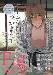 Fig vol.12
