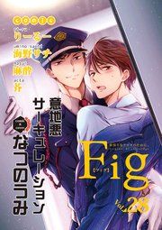 Fig vol28