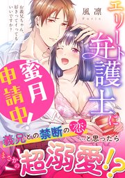 お義兄ちゃん、好きってイってもいいですか？ エリート弁護士に蜜月申請中！