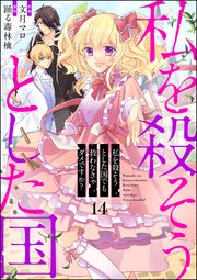 私を殺そうとした国でも救わなきゃダメですか？（分冊版） 【第14話】