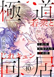 これはお母さんの恋の話～極道若衆とじれキュン同居～［comic tint］ 分冊版（10）