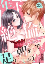 23巻 透の不安と紅羽のワンコ調教