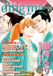 enigma vol．29