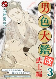 男色大鑑 改 武士編 3～いくえにもかさね添いとげるこい～