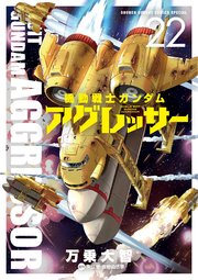 機動戦士ガンダム アグレッサー 22