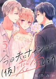 今日夫にナイショで（仮）恋愛します［comic tint］ 分冊版（5）