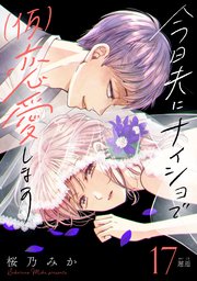 今日夫にナイショで（仮）恋愛します［comic tint］ 分冊版（17）