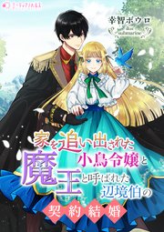 家を追い出された小鳥令嬢と魔王と呼ばれた辺境伯の契約結婚
