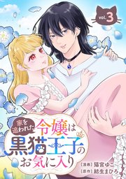 家を追われた令嬢は黒猫王子のお気に入り～呪われた黒猫は姿を消した王子様でした～【分冊版】 3