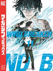 WIND BREAKER（11）