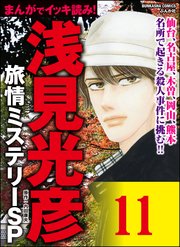 浅見光彦ミステリーSP（分冊版） 【第11話】