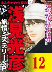 浅見光彦ミステリーSP（分冊版） 【第12話】