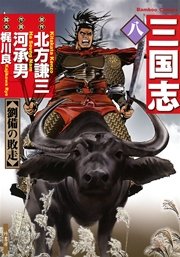 三国志　8