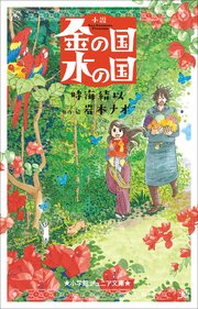 小学館ジュニア文庫 小説 金の国 水の国