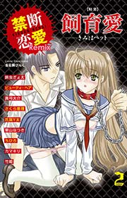 禁断恋愛Remix 2巻