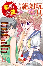 禁断恋愛Remix 11巻