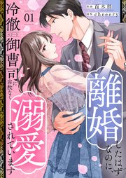 離婚したはずなのに、冷徹エリート御曹司に容赦なく溺愛されています