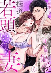 極道若頭のいつわり妻～拾われた花嫁は、甘く危険な偏愛から逃げられない【TL版】 6巻