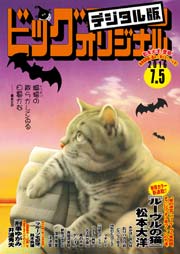 ビッグコミックオリジナル 2016年13号