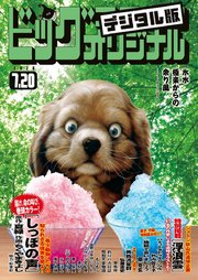 ビッグコミックオリジナル 2020年14号(2020年7月4日発売)