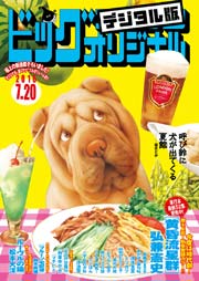 ビッグコミックオリジナル 2016年14号