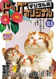 ビッグコミックオリジナル 2016年23号(2016年11月19日発売)