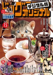 ビッグコミックオリジナル 2025年13号（2025年6月20日発売)