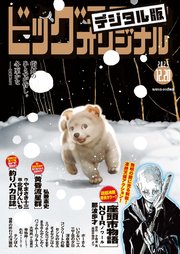 ビッグコミックオリジナル　2025年24号（2025年12月5日発売)