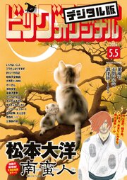 ビッグコミックオリジナル　2026年9号（2026年4月20日発売)