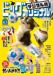 ビッグコミックオリジナル　2026年11号（2026年5月20日発売)