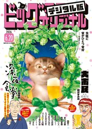 ビッグコミックオリジナル　2026年12号（2026年6月5日発売)