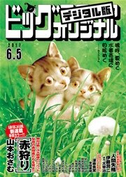 ビッグコミックオリジナル 2017年11号(2017年5月20日発売)