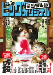 ビッグコミックオリジナル 2017年14号(2017年7月5日発売)