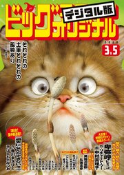 ビッグコミックオリジナル 2020年5号(2020年2月20日発売)