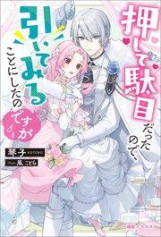 押して駄目だったので、引いてみることにしたのですが