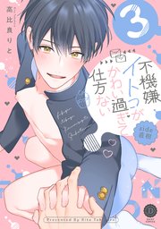 不機嫌イトコがかわい過ぎて仕方ない side直樹3【単行本版】【コミックシーモア限定特典付き】